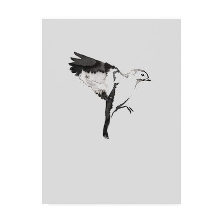 Incado 'Flying Bird I' Canvas Art,18x24